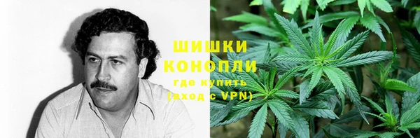 каннабис Аркадак