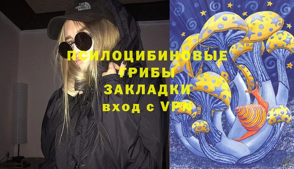 стаф Армянск