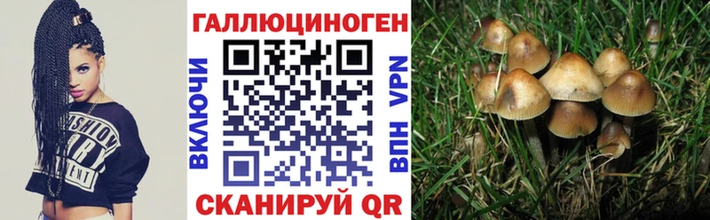 Псилоцибиновые грибы мухоморы Тутаев